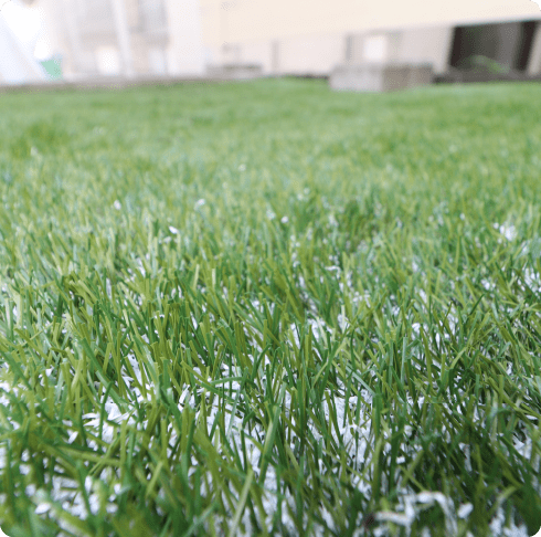 ⑥コンフォニーターフ表面