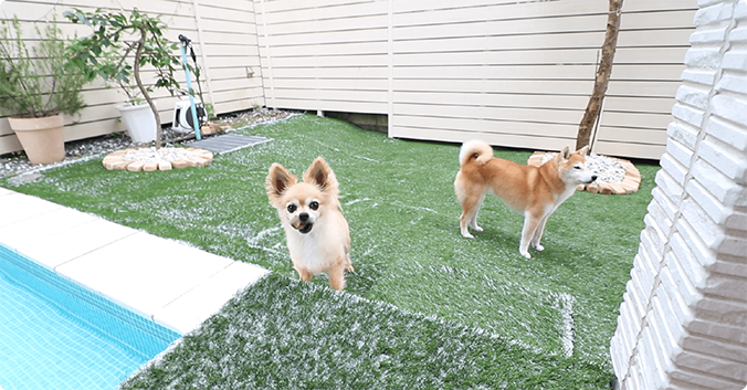 今回の工事について