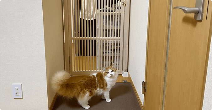 今回の工事について