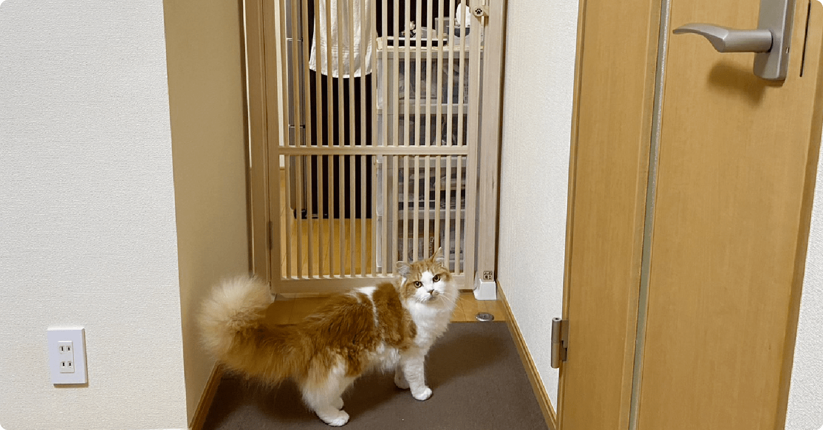 今回の工事について