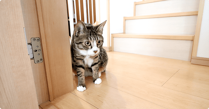 今回の工事について