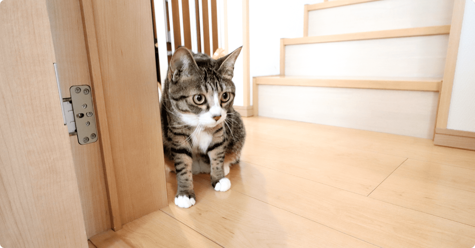 今回の工事について