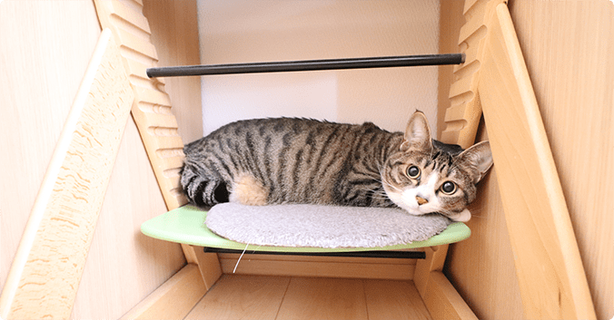 今回の工事について