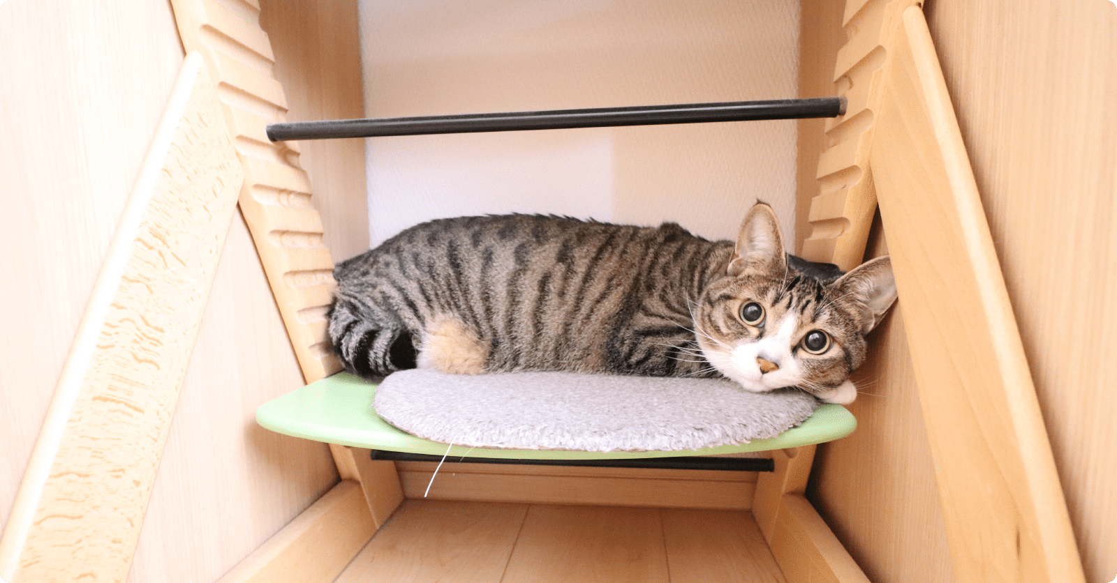 今回の工事について