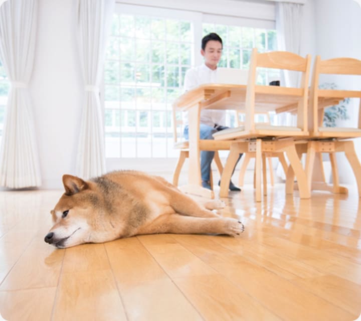 リビングダイニング空間中⼼のプラン