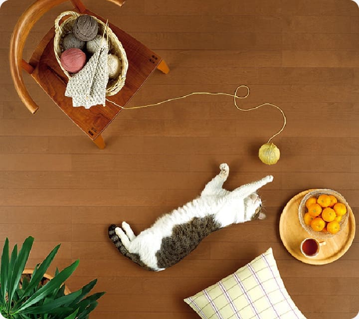 空間の制限がないプラン