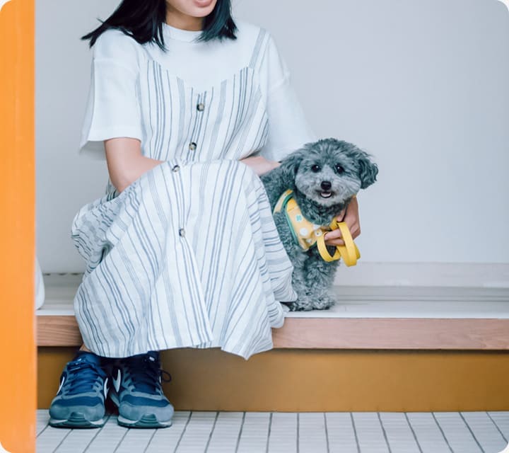 ミッドテリアをプラスしたプラン